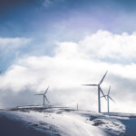 Help the Environment By Going Organic